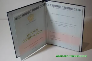 Купить диплом в Сергиевом Посаде НЮИ ТГУ — Новосибирского Юридического Института Томского Государственного Университета